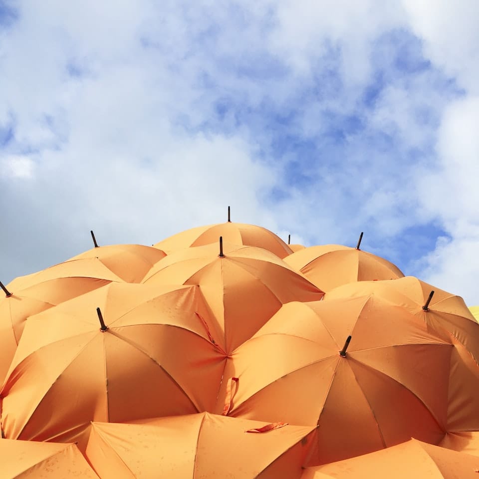 Photo by Catrin Johnson / Unsplash