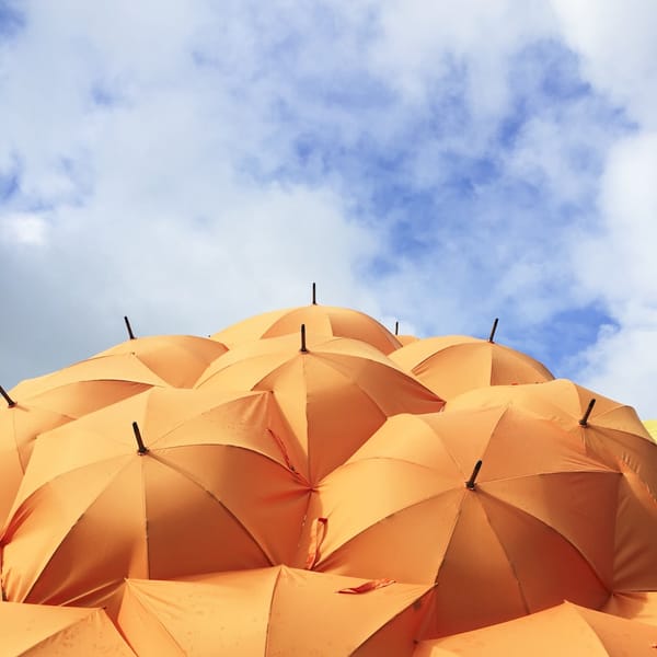 Photo by Catrin Johnson / Unsplash