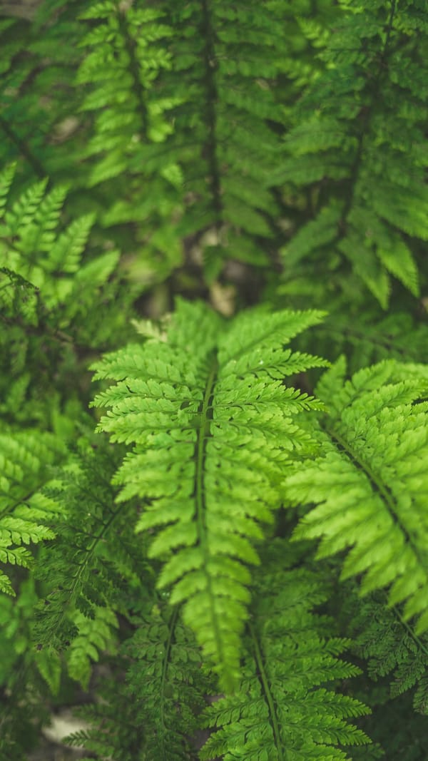 Photo by Jason Gardner / Unsplash