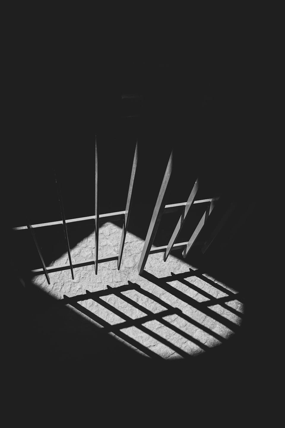 Photo by Tim Hüfner / Unsplash